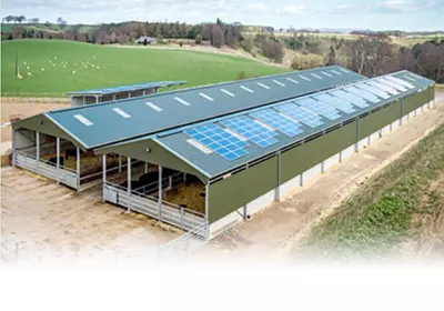 Steel Structure Farm House