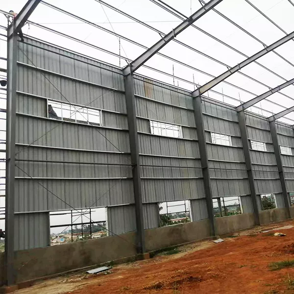 Project in Cameroon image 2