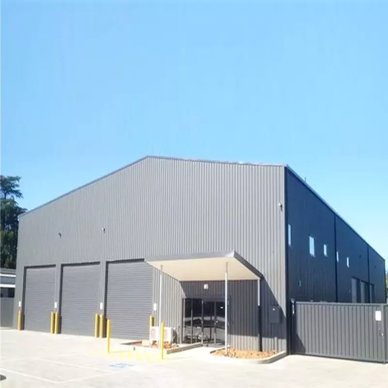 Steel Frame Building