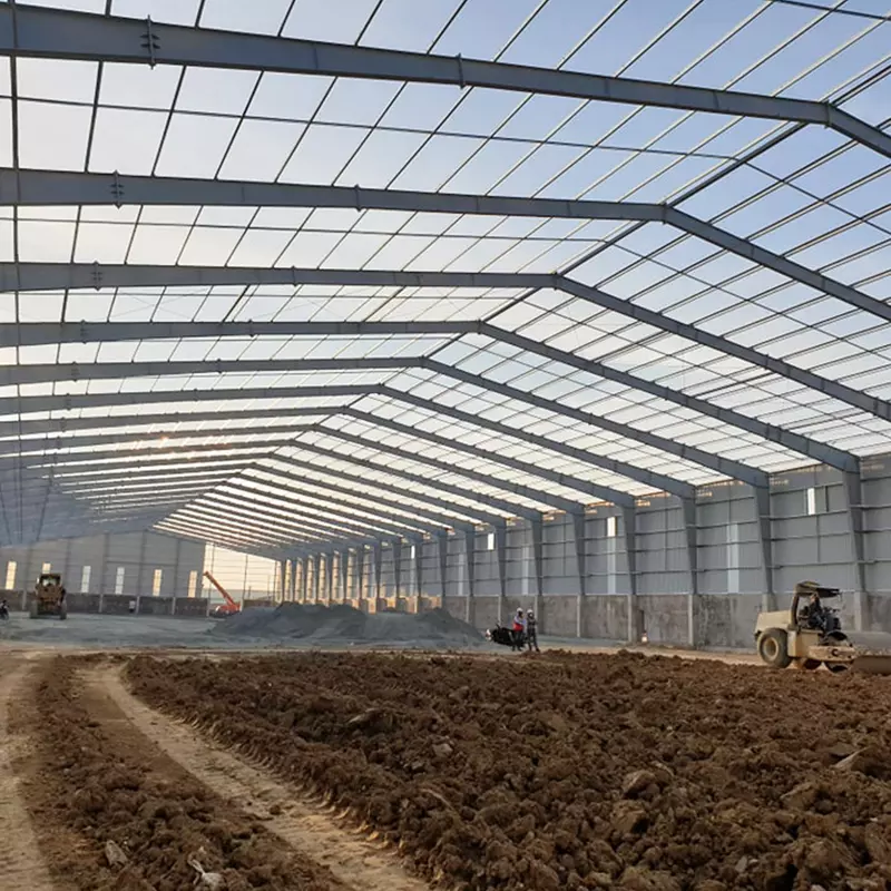 Building with Steel Frame