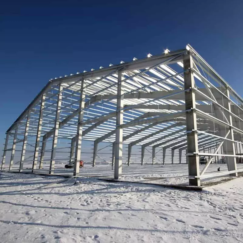 Steel Framed Building