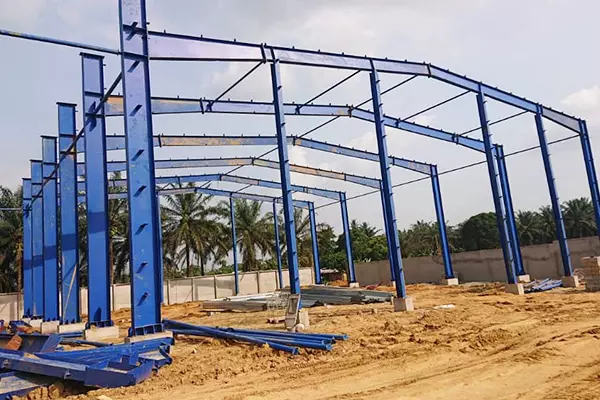 Workshop Project in Cameroon