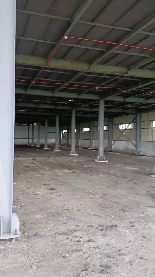 Steel column grid and open interior bay in a Philippines warehouse project